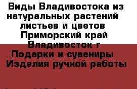 Виды Владивостока из натуральных растений – листьев и цветов - Приморский край, Владивосток г. Подарки и сувениры » Изделия ручной работы   